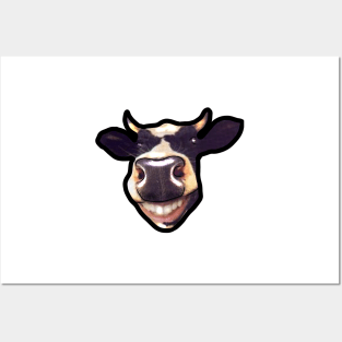 funny cow smile Posters and Art